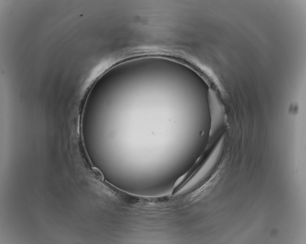 X0000090961365200708161807