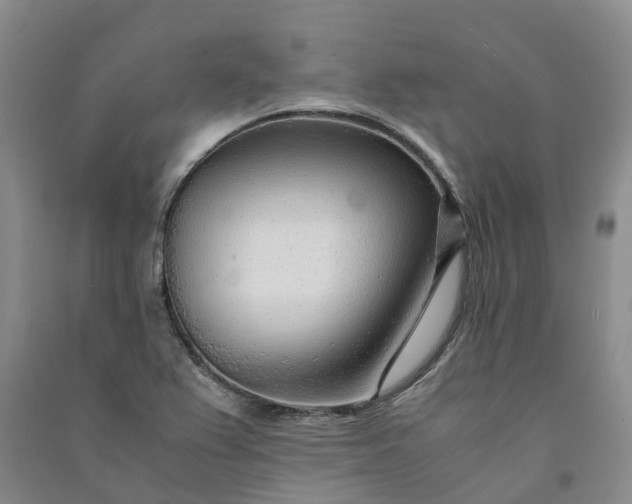 X0000090961367200708161807