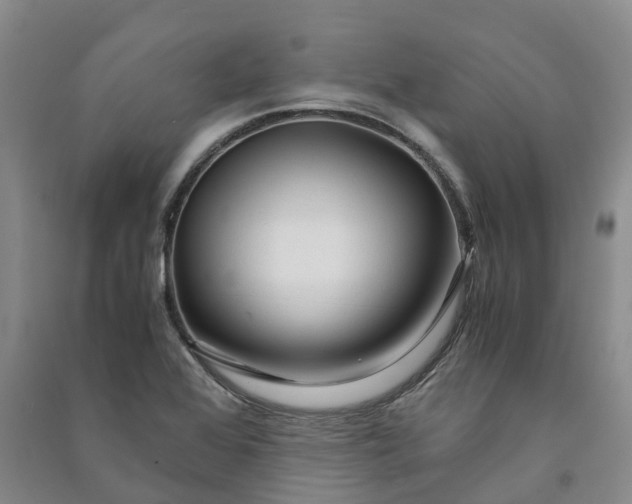 X0000090961368200708161807