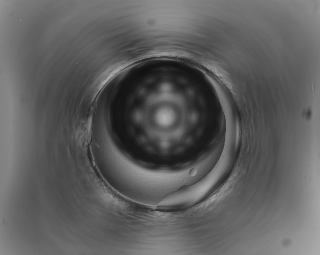 X0000090961369200708161807