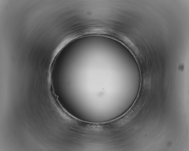 X0000090961370200708161807