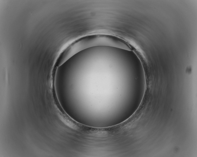X0000090961372200708161807