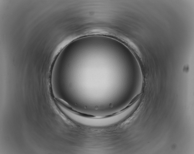 X0000090961373200708161807