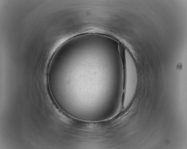 X0000090961375200708161807