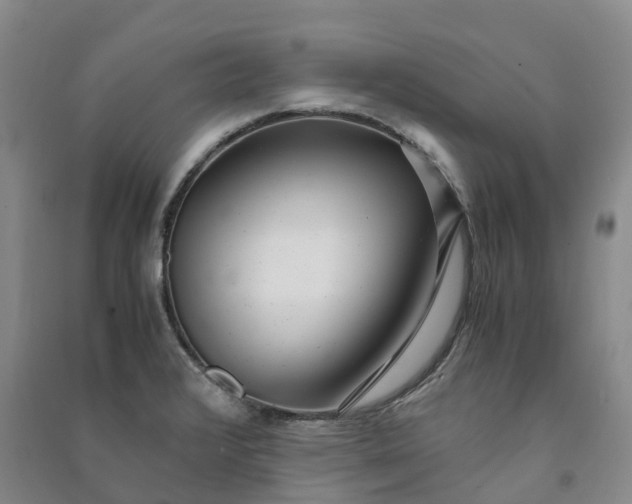 X0000090961376200708161807
