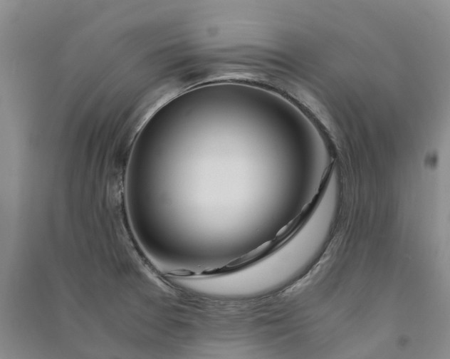 X0000090961377200708161807