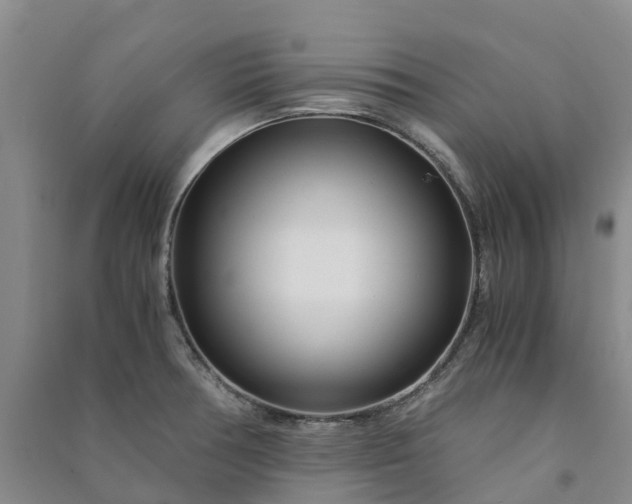 X0000090961378200708161807