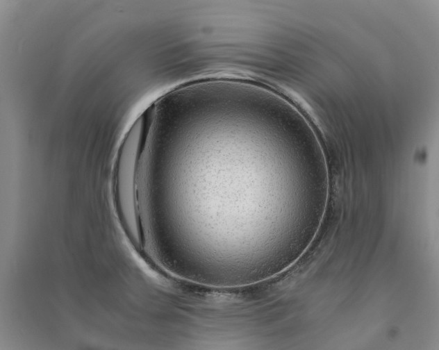 X0000090961379200708161807