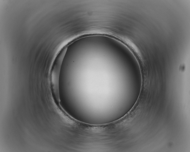 X0000090961380200708161807