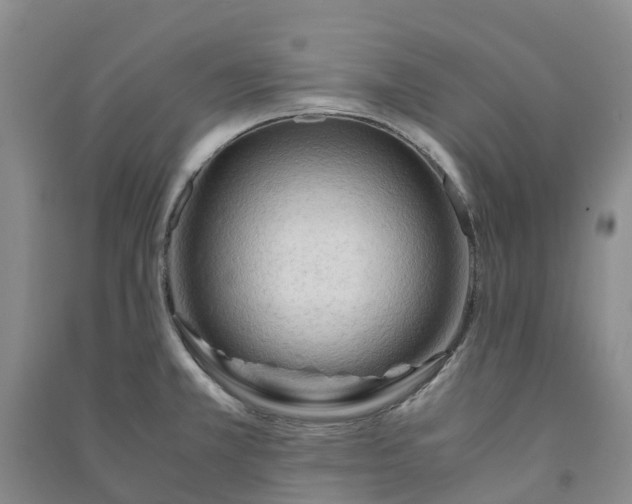 X0000090961381200708161807
