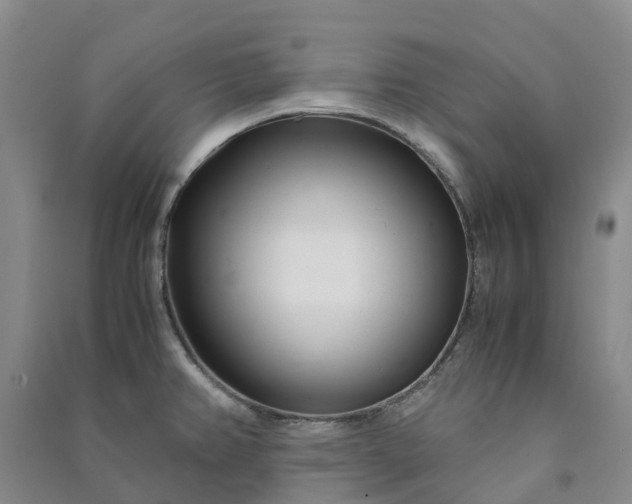 X0000090961382200708161807