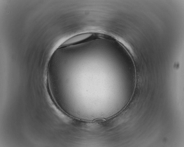 X0000090961383200708161807