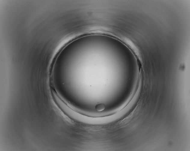 X0000090961384200708161807