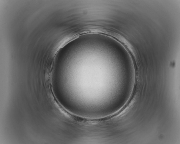 X0000090961385200708161807