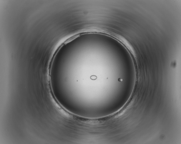 X0000090961388200708161807