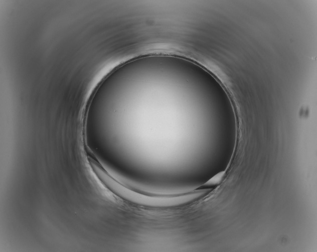 X0000090961392200708161807