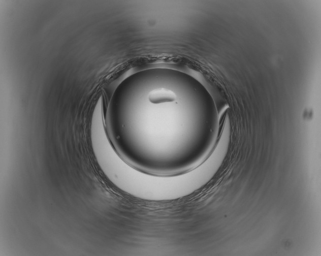 X0000090961394200708161806