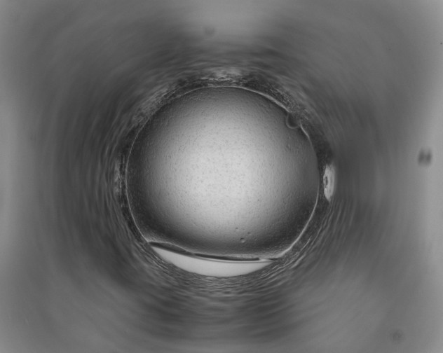 X0000090961395200708161806