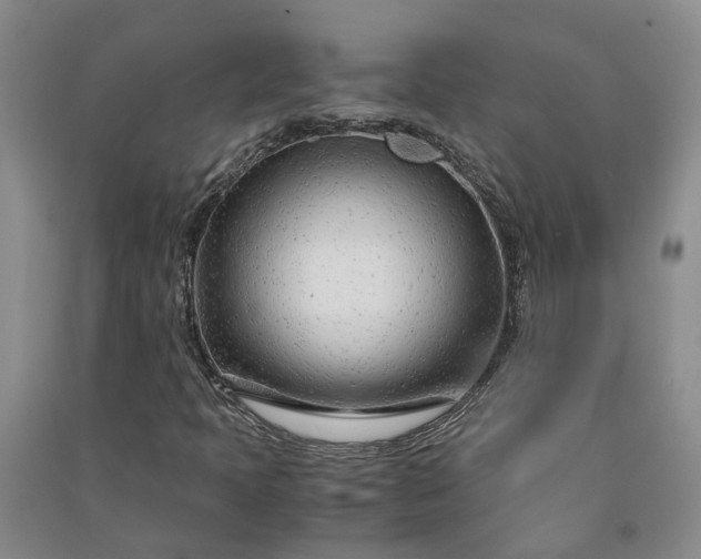 X0000090961397200708161806