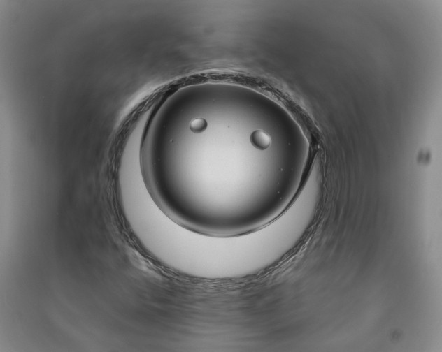 X0000090961400200708161806