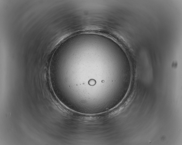 X0000090961401200708161806