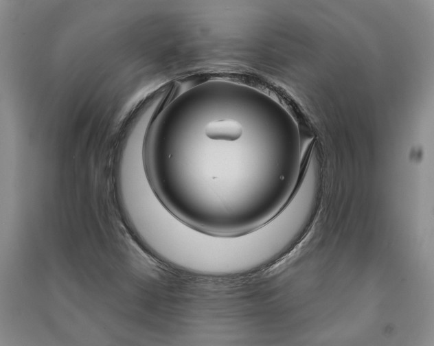X0000090961402200708161806