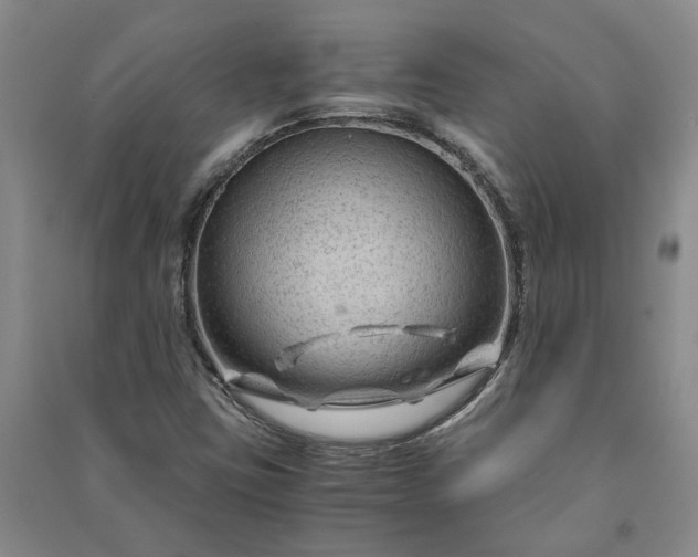 X0000090961403200708161806