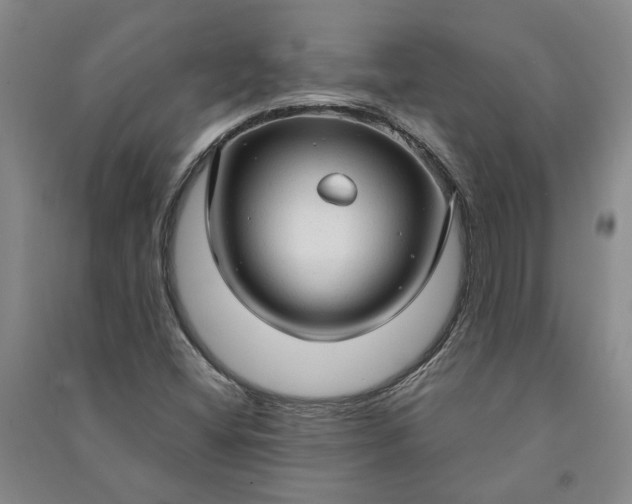 X0000090961404200708161806