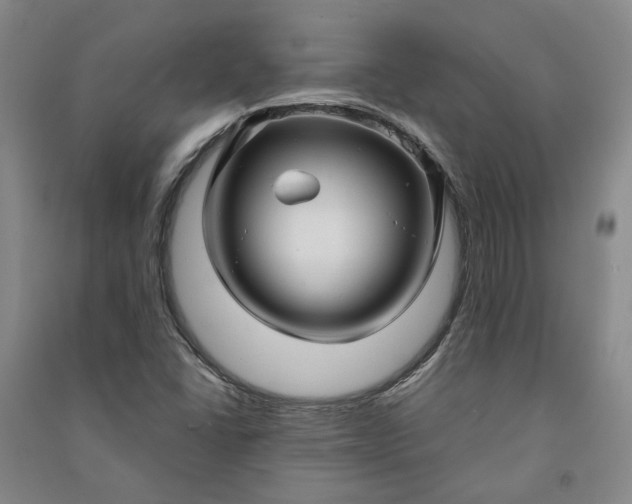 X0000090961406200708161807