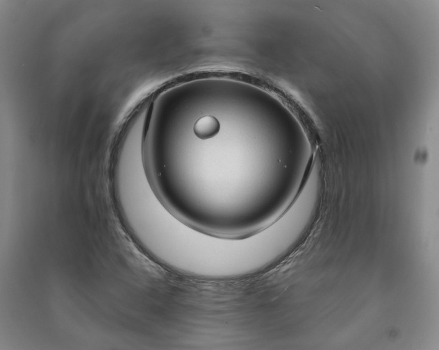 X0000090961408200708161807