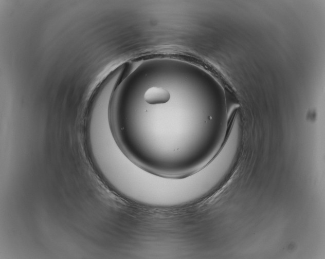 X0000090961410200708161807