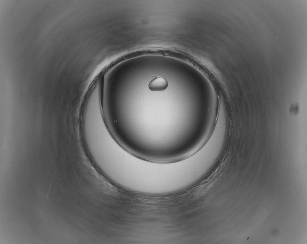 X0000090961412200708161807
