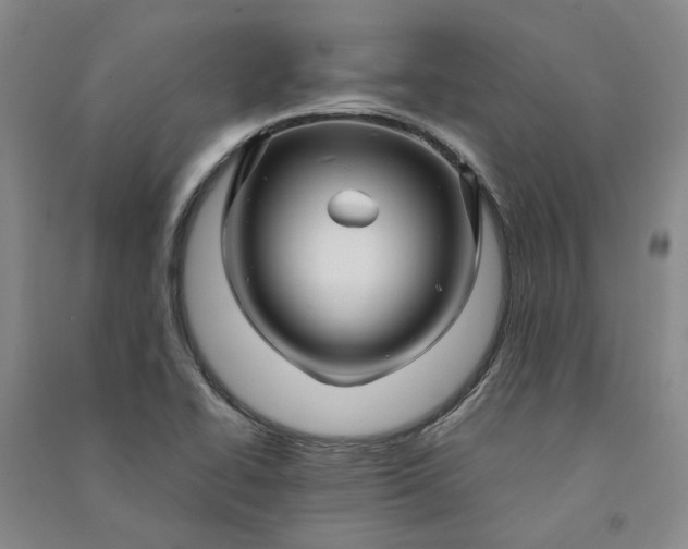 X0000090961414200708161807