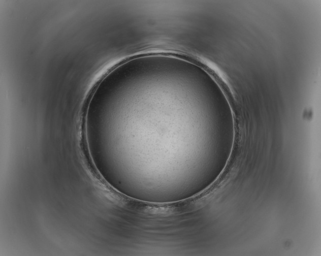 X0000090961415200708161807