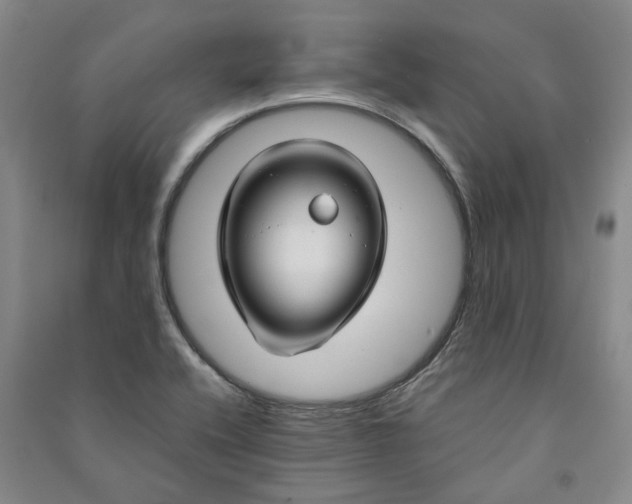 X0000090961416200708161807