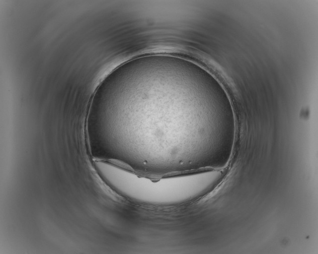 X0000090961417200708161807