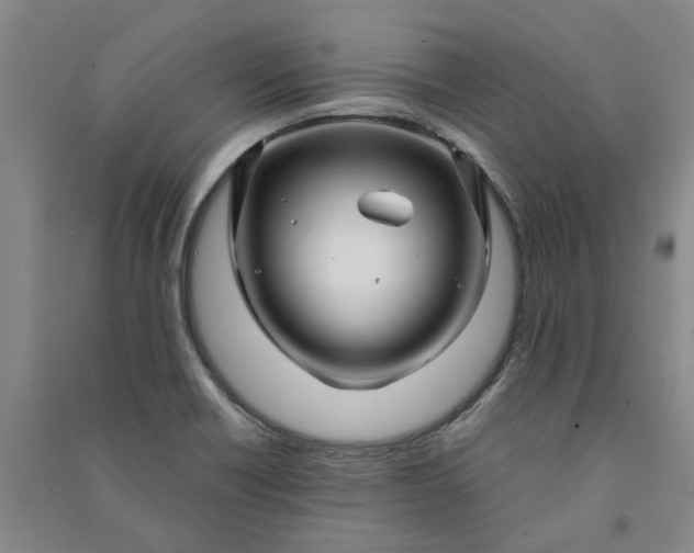 X0000090961418200708161807