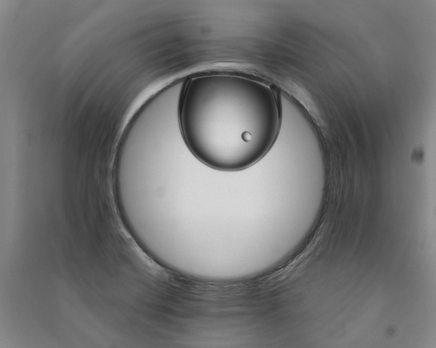 X0000090961420200708161807