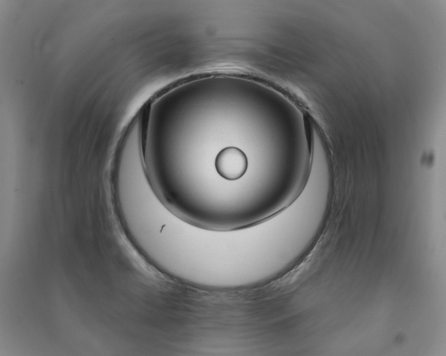 X0000090961422200708161807