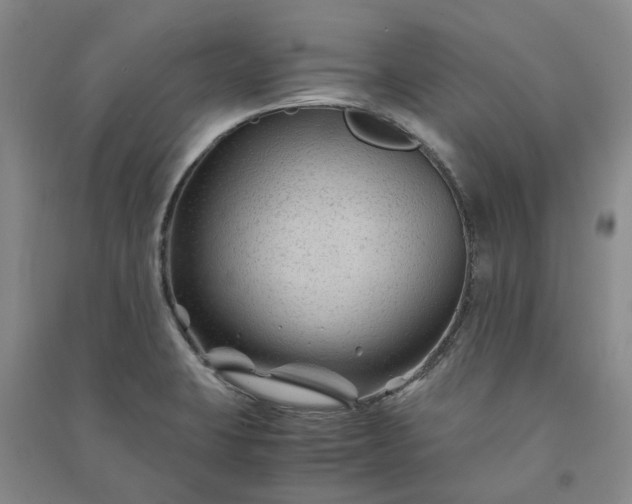 X0000090961423200708161807