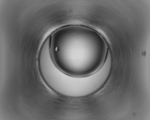 X0000090961424200708161807
