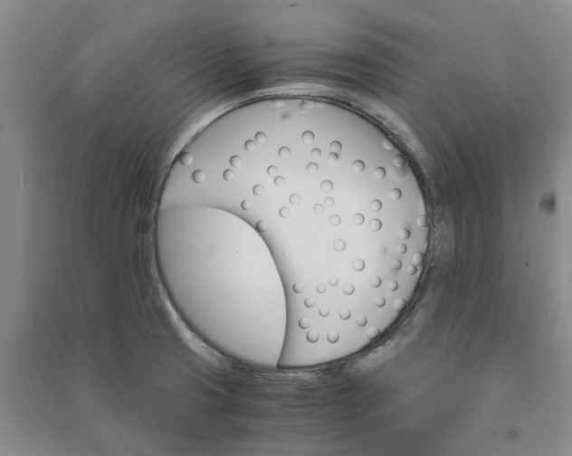 X0000090961425200708161807
