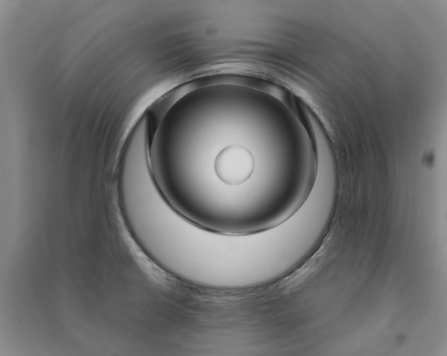 X0000090961426200708161807