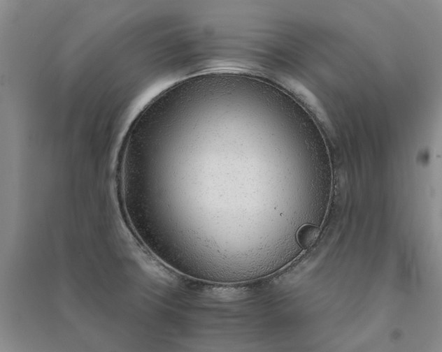 X0000090961427200708161807