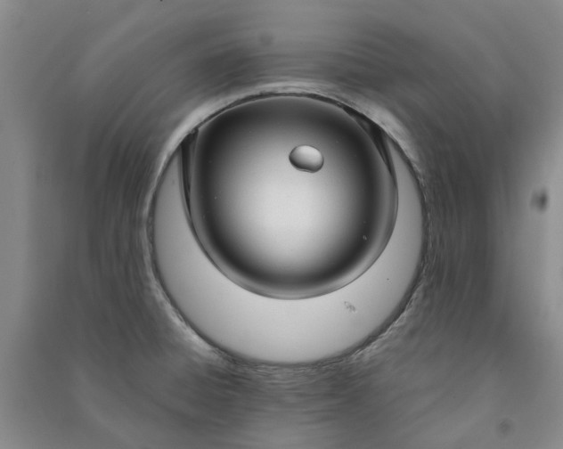 X0000090961428200708161807