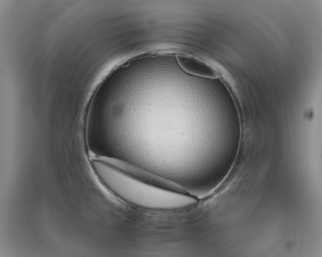 X0000090961429200708161807