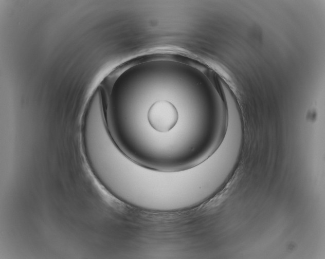 X0000090961430200708161807