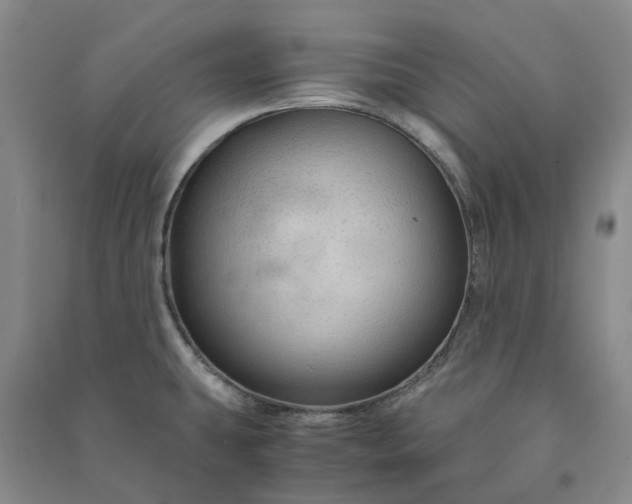 X0000090961431200708161807