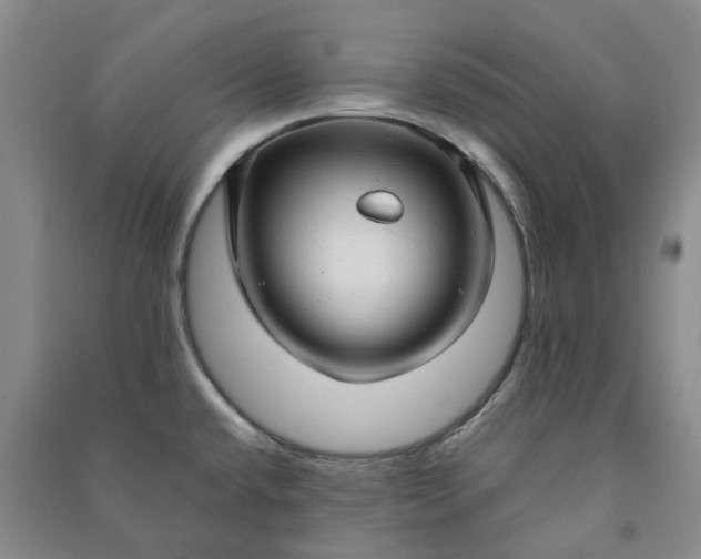X0000090961432200708161807