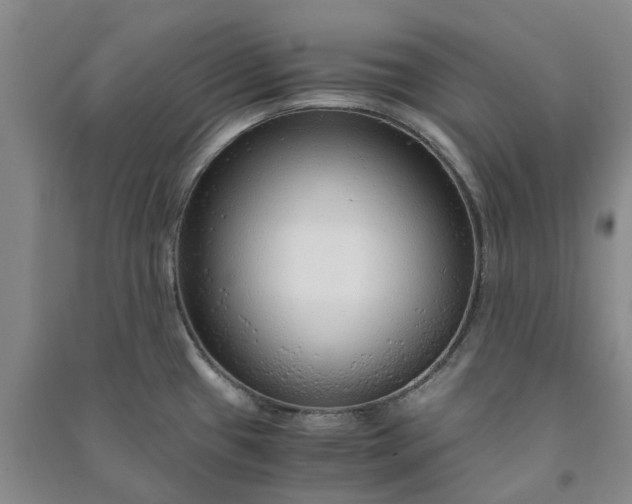 X0000090961433200708161807